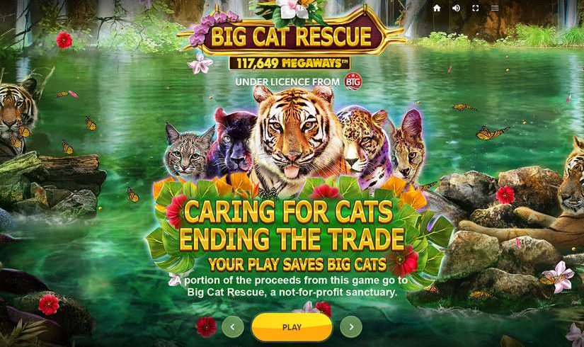 Big Cat Rescue MegaWays