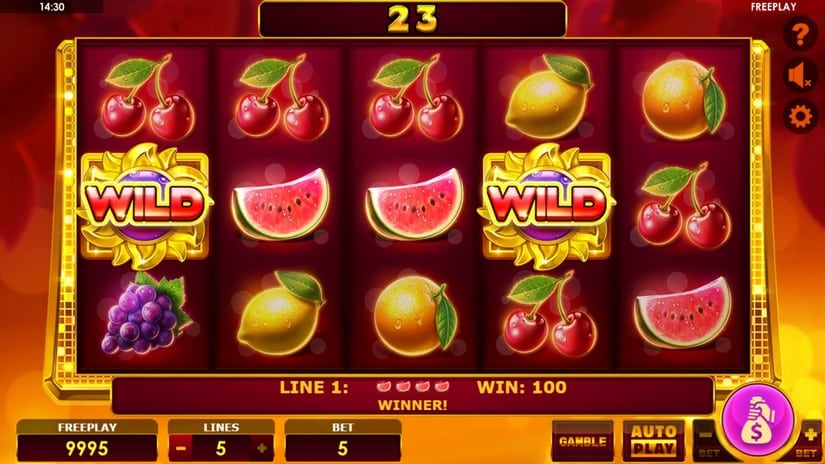 Screenshot videoslot slotmachine Book of Fruits