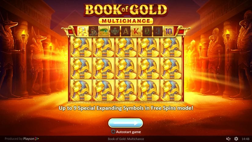 Screenshot videoslot slotmachine Book of Gold Multichance