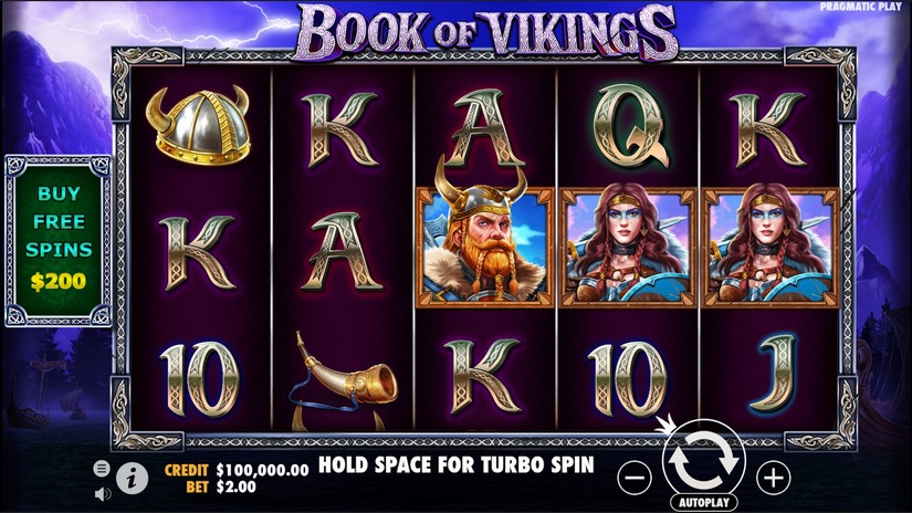 Book of Vikings