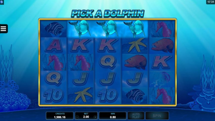 Screenshot videoslot slotmachine Dolphin Coast