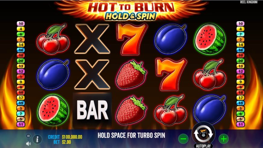 Screenshot videoslot Hot to Burn Hold and Spin