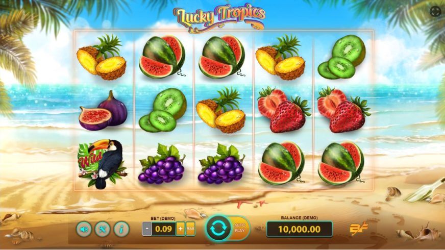 Lucky Tropics