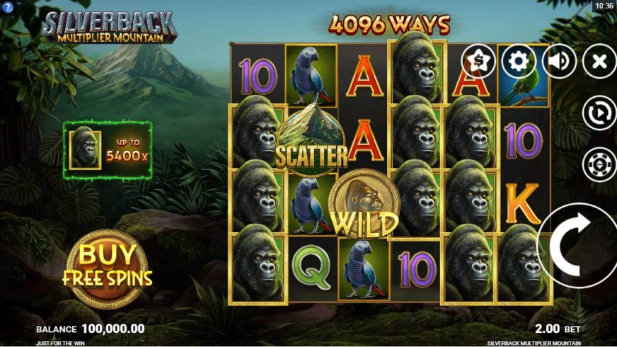 Silverback Multiplier Mountain