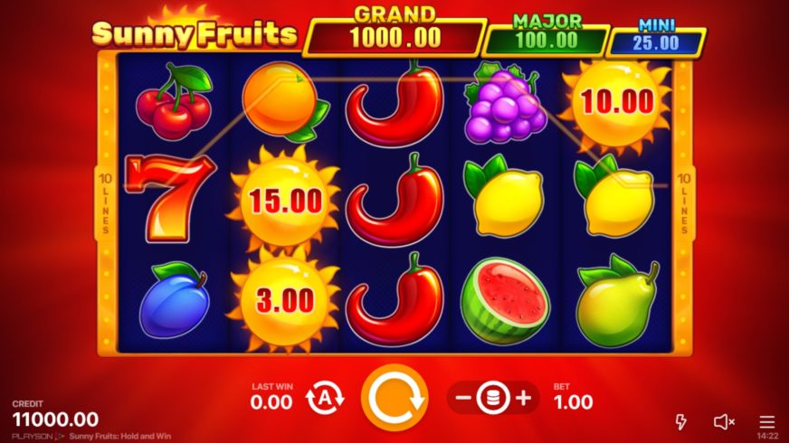 Sunny Fruits: Hold and Win