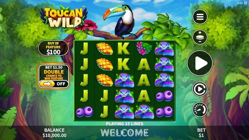 Toucan Wild