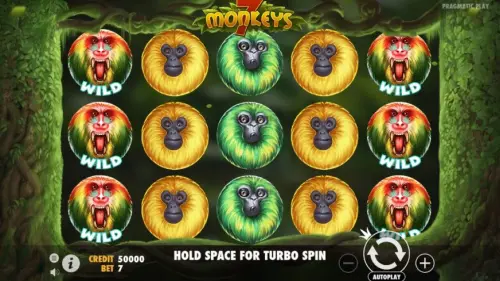 7 Monkeys review