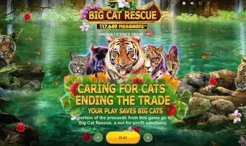 Big Cat Rescue MegaWays review