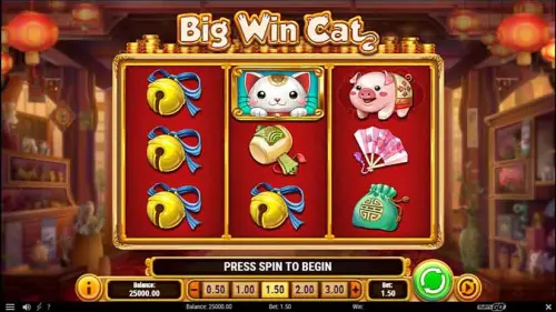 Big Win Cat review