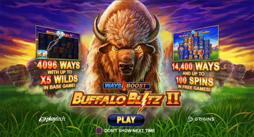 Buffalo Blitz II review