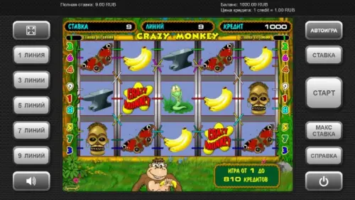 Crazy Monkey review