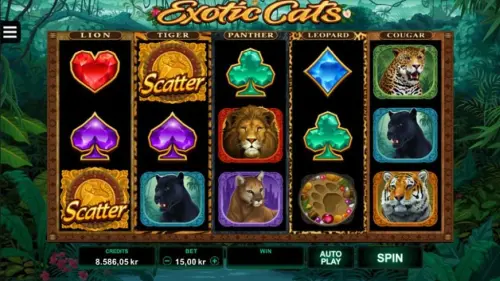 Exotic Cats review