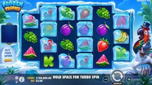 Frozen Tropics review