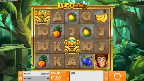 Loco the Monkey review