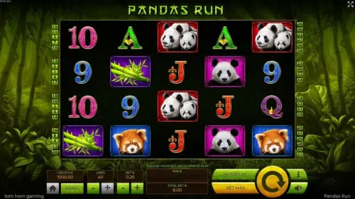 Pandas Run review