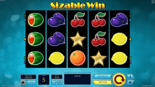 Sizable Win review