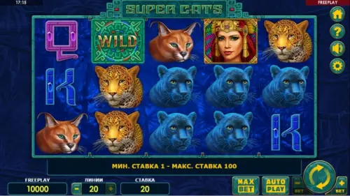 Super Cats review