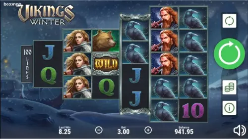 Vikings Winter review