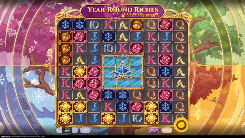 Year-Round Riches Clusterbuster