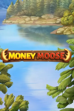 Money Moose