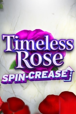 Timeless Rose