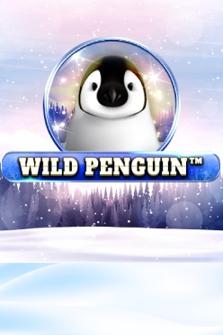 Wild Penguin